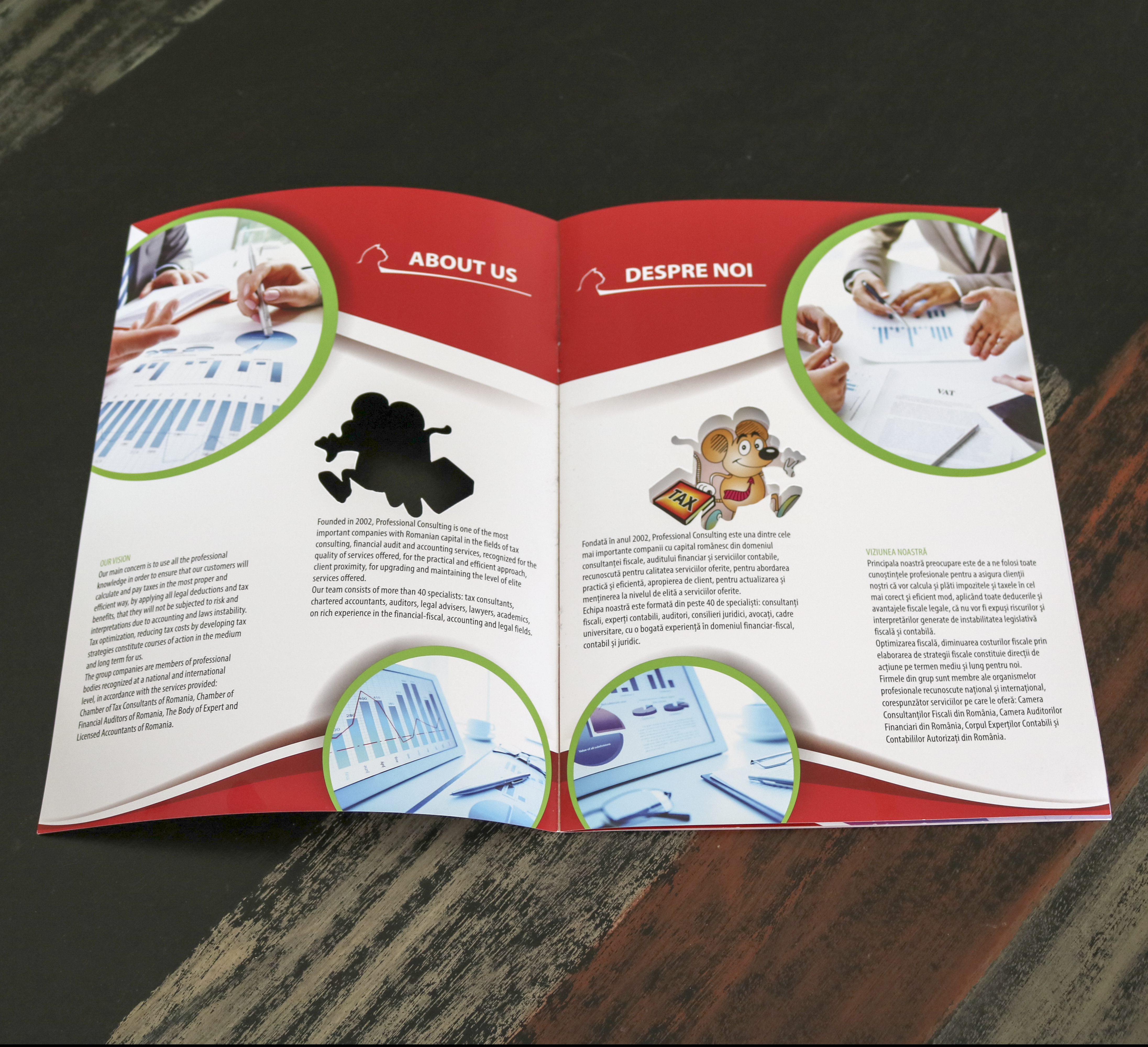Catalog Professional Consulting
